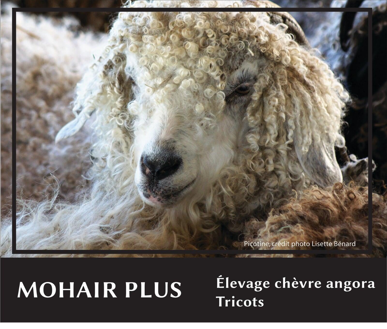 Mohair Plus